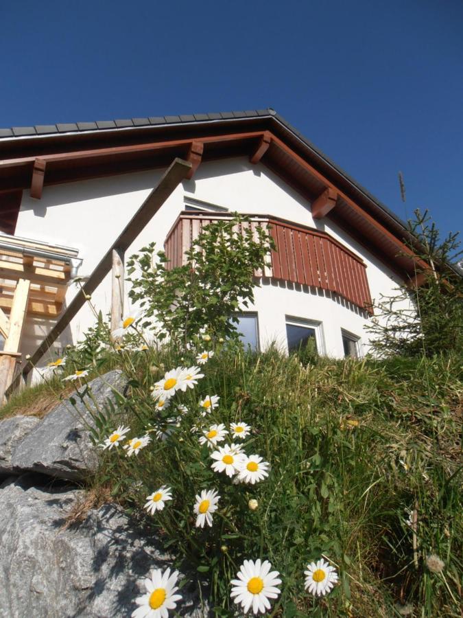 Apartament Arlalpin Pettneu am Arlberg Zewnętrze zdjęcie